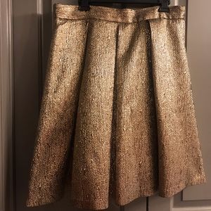Gold Full Skirt
